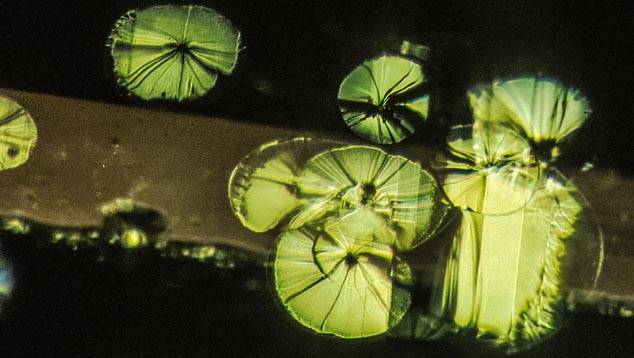 Lily Pad inclusions seen in Peridot