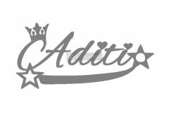 Aditi-3