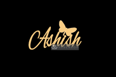 Ashish-3