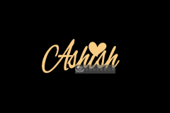 Ashish-5