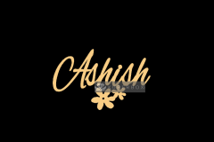 Ashish-6