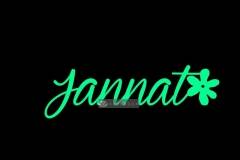 Jannat-Name (3)