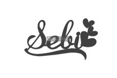 Sebi-2