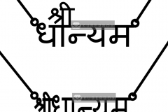 Shree-Dhanyam-Hindi