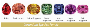 corundum species family